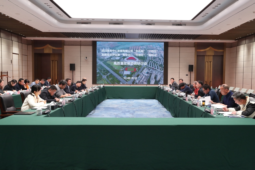 公司召開“中長期”、“十四五”發展規劃評估暨“專業化、市場化、國際化”高質量發展研討會