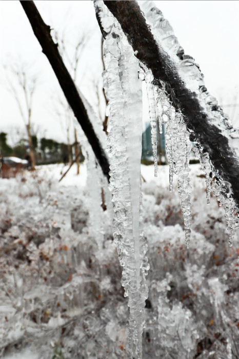 一場雪，體育中心美得不要不要的</br>但最美的風景還是他們(圖4)