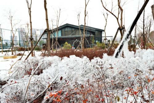 一場雪，體育中心美得不要不要的</br>但最美的風景還是他們(圖2)