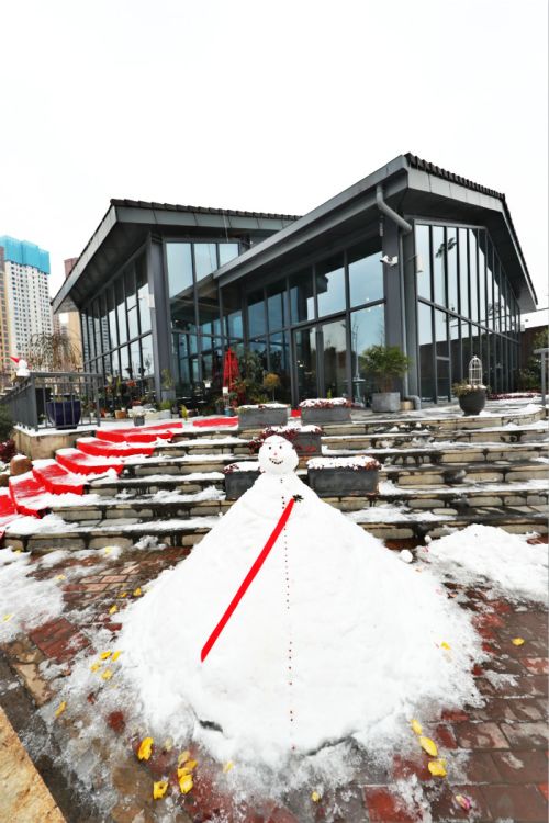 一場雪，體育中心美得不要不要的</br>但最美的風景還是他們(圖11)